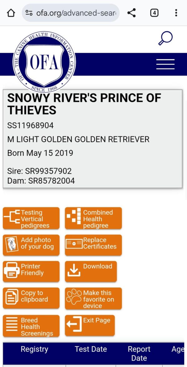 Snowy River's Prince Of Thieve's (Sire) - Image 5